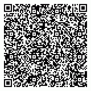 vCard 79081000173