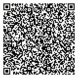 vCard 79081000403