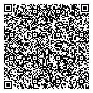 vCard 79081000511