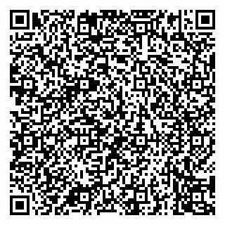 vCard 79081000613
