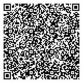 vCard 79083000331