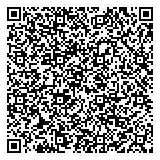 vCard 79084993138