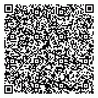 vCard 79085003539