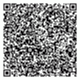 vCard 79088100333