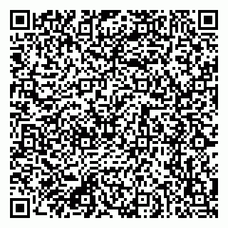 vCard 79088267799