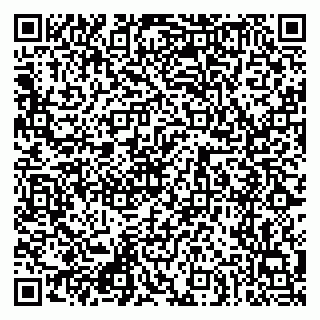 vCard 79088267803