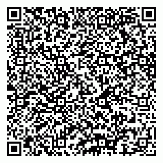 vCard 79088277889