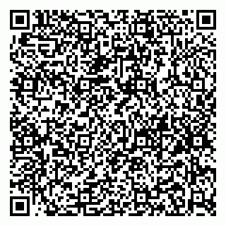 vCard 79088333097