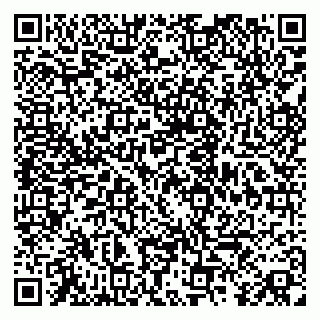 vCard 79088339133