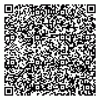 vCard 79088340313