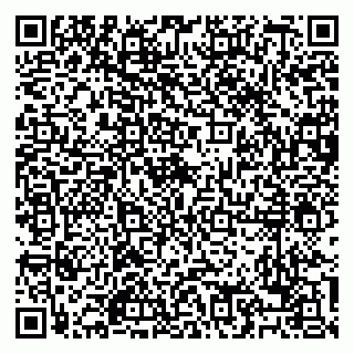 vCard 79088708133