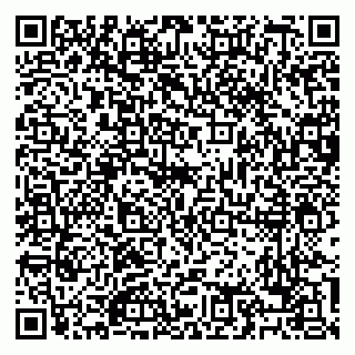 vCard 79088713133