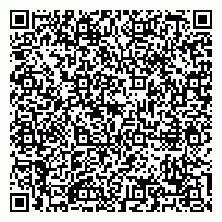 vCard 79088713181