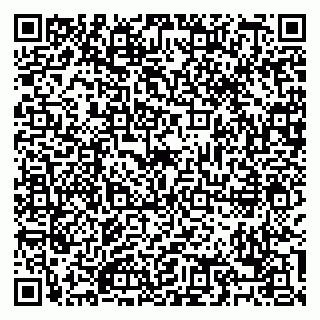 vCard 79088713199