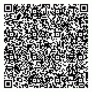 vCard 79088733100