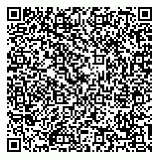 vCard 79088737385
