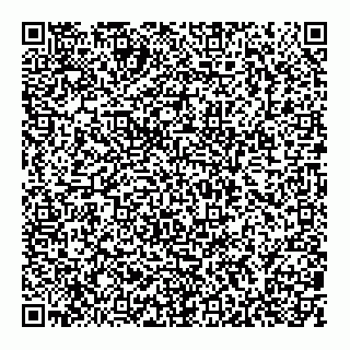 vCard 79088740322