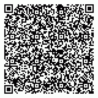 vCard 79088765312