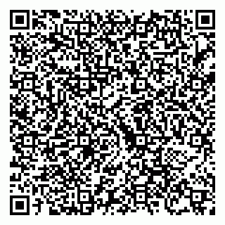 vCard 79088776209