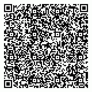 vCard 79088776387
