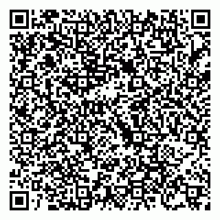 vCard 79088776393