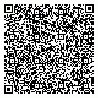 vCard 79088776399