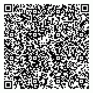 vCard 79088781085