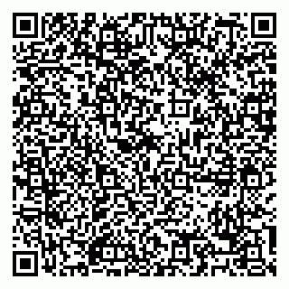 vCard 79088782099