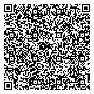 vCard 79088782153