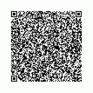 vCard 79088800331