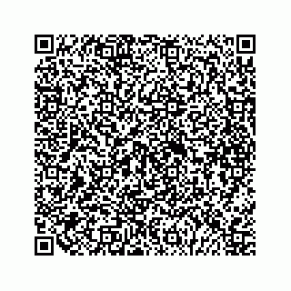vCard 79088800339