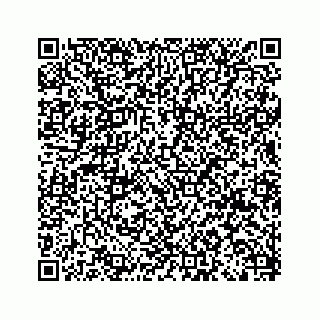vCard 79088808063