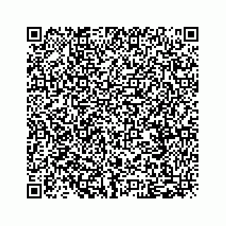 vCard 79088809311