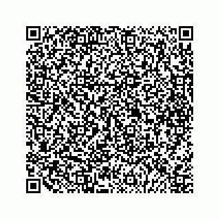 vCard 79088809314
