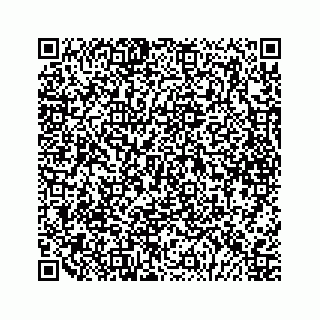 vCard 79088809317