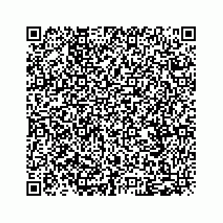 vCard 79088809370