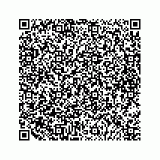 vCard 79088810333