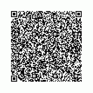 vCard 79088810337