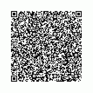 vCard 79088811281