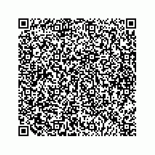 vCard 79088811293