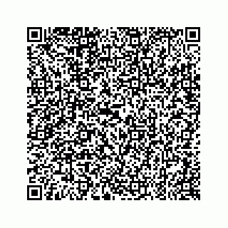 vCard 79088813217