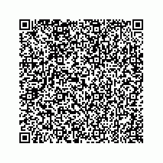 vCard 79088813233
