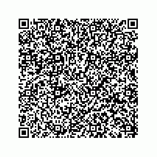 vCard 79088818933