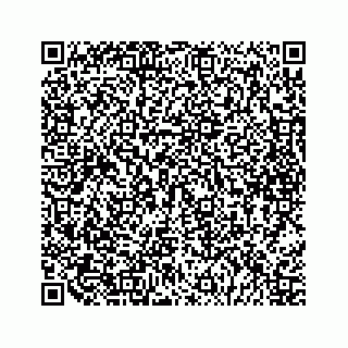 vCard 79088818935