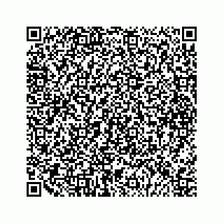 vCard 79088833333