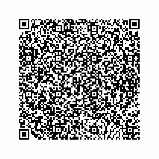 vCard 79088871335
