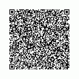 vCard 79088884020