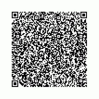vCard 79088891889