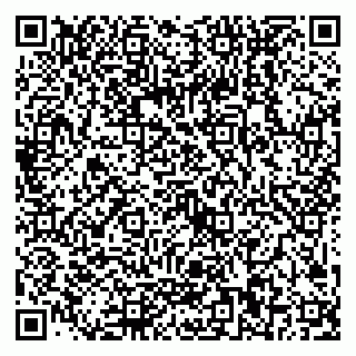 vCard 79089000289