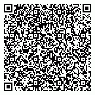vCard 79089000313